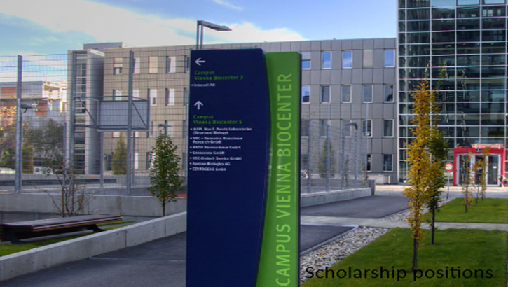 Postdoc Positions at Vienna International Postdoctoral Program (VIP2)