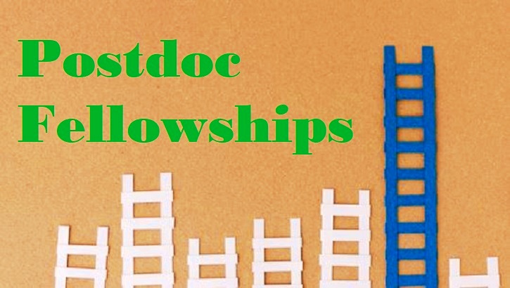 Federation of European Biochemical Societies Postdoc Fellowships 2022